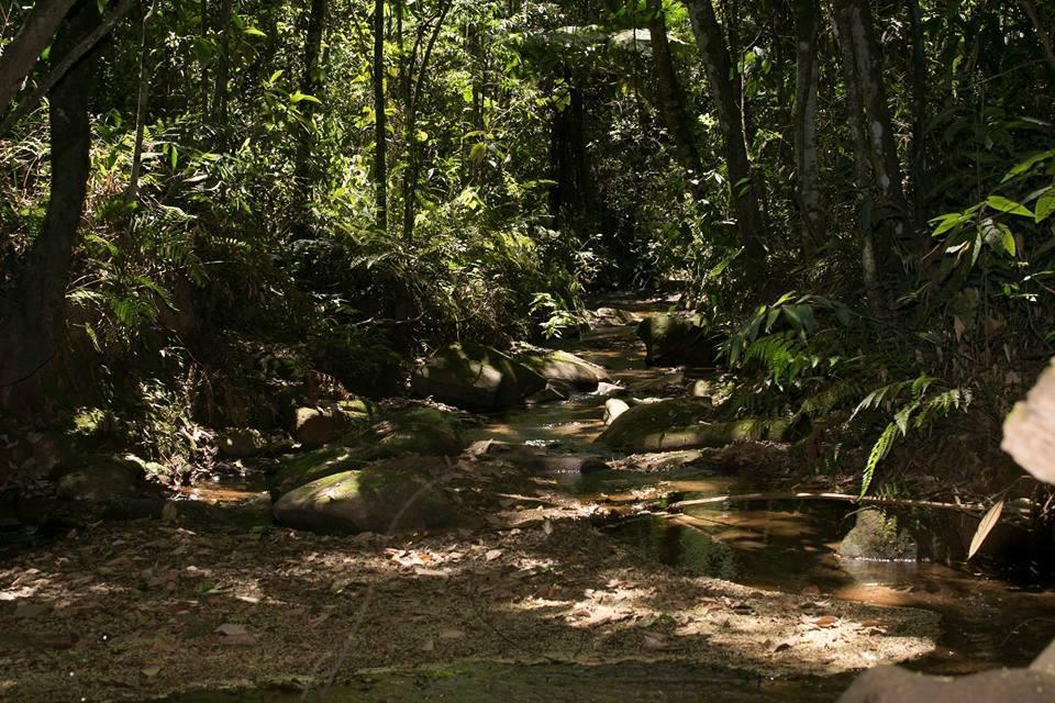 Hotel Fazenda Paraiso Da Serra Конгоньяс Экстерьер фото